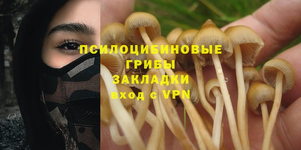 крисы Алексеевка