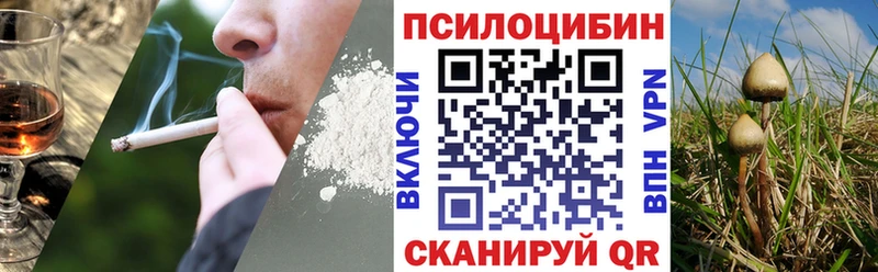 Псилоцибиновые грибы ЛСД  Михайловск 
